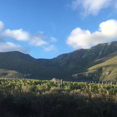 Misty Mountains Villa Hermanus Ngoại thất bức ảnh