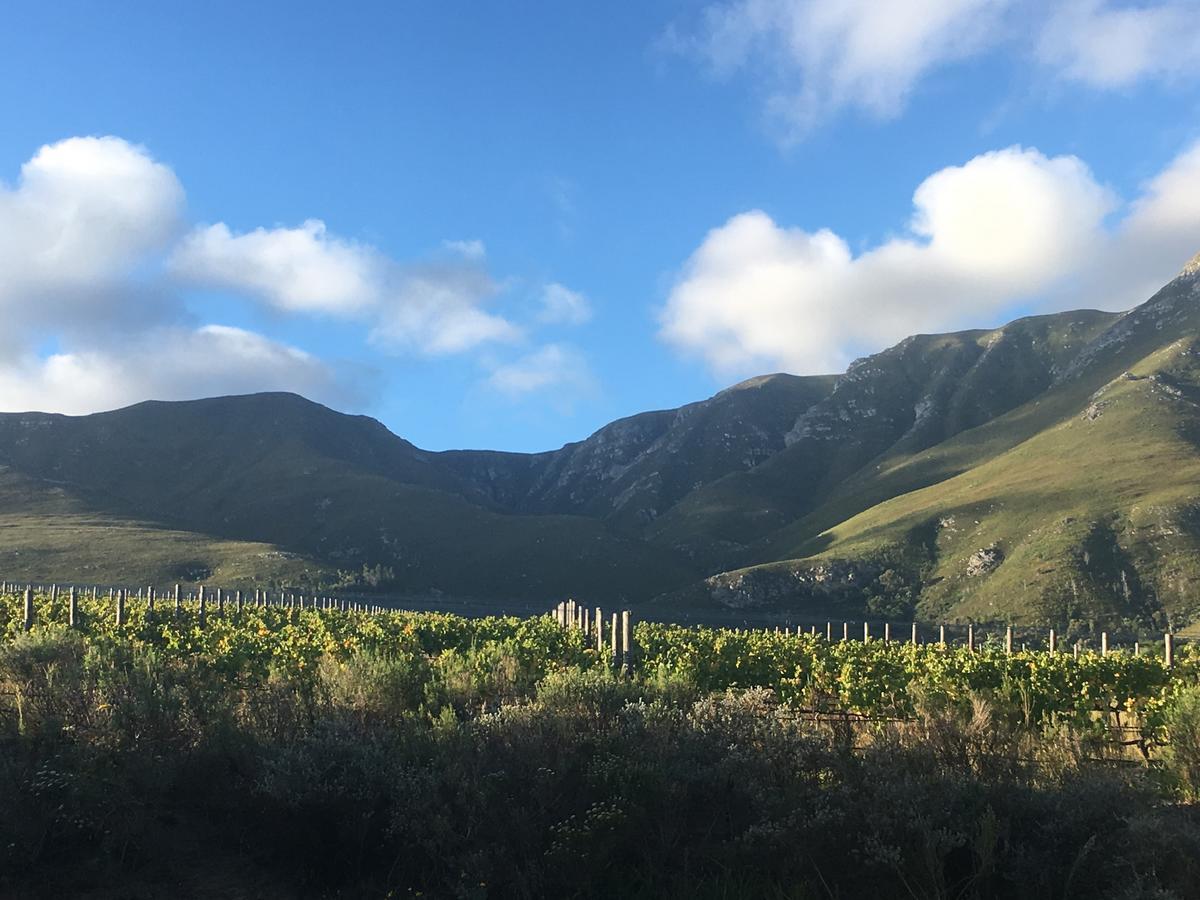 Misty Mountains Villa Hermanus Ngoại thất bức ảnh