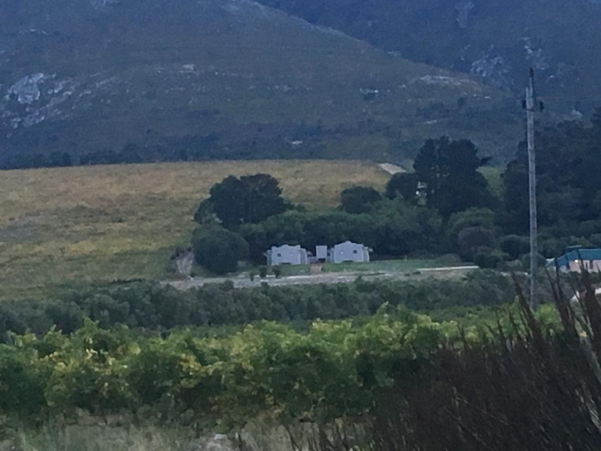 Misty Mountains Villa Hermanus Ngoại thất bức ảnh